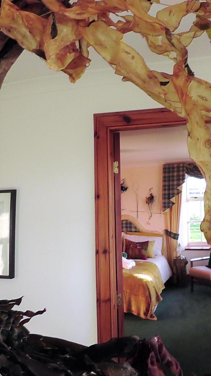 Wagtail Lodge Dinnet Εξωτερικό φωτογραφία